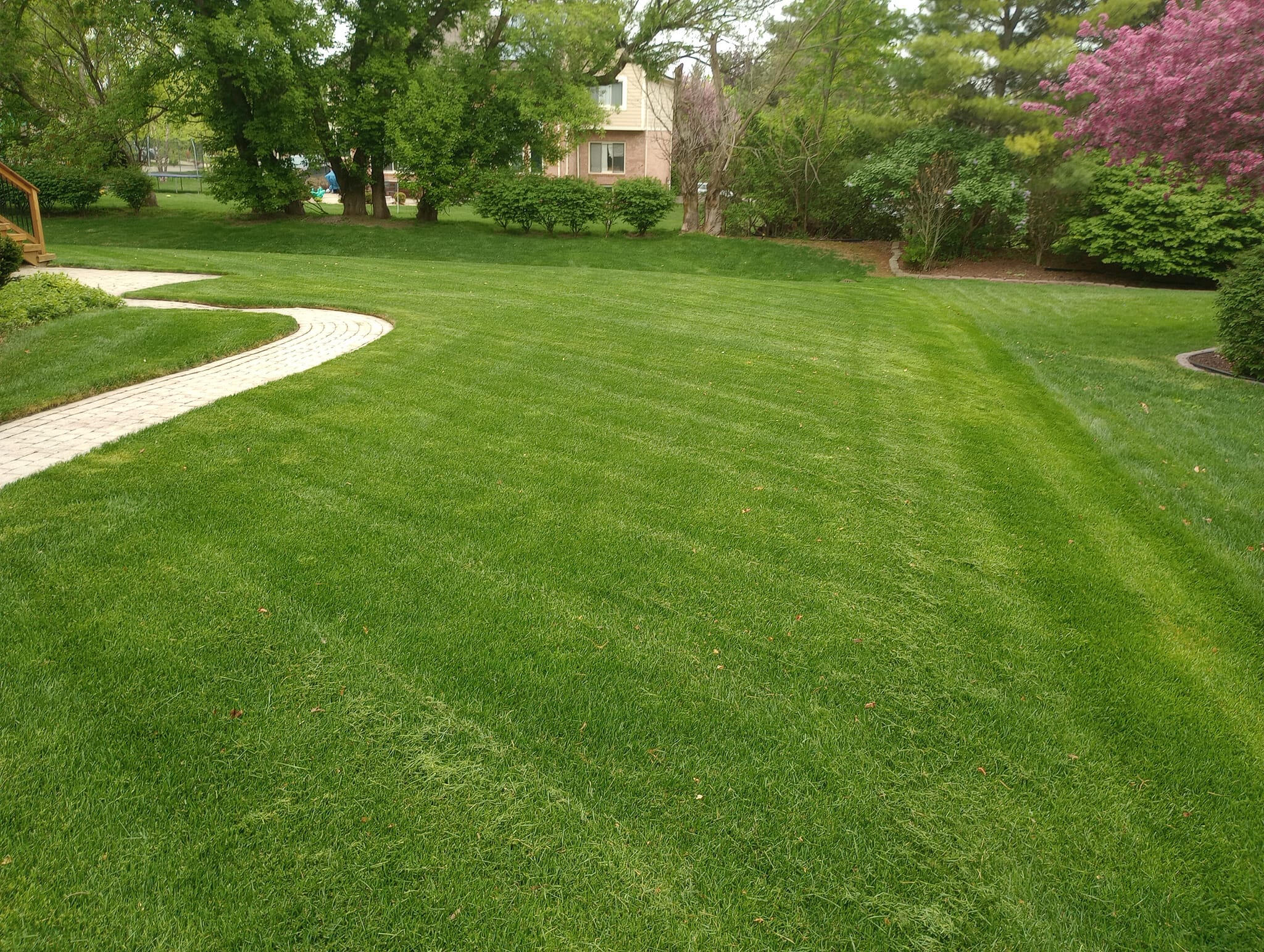 Lawn Care That Shows Up. Every Time.